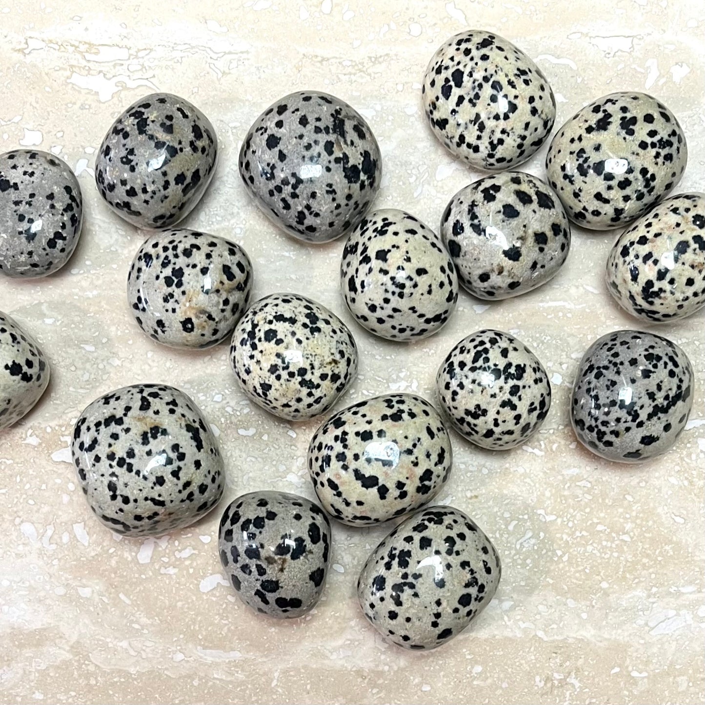 Dalmatian Jasper Tumbles